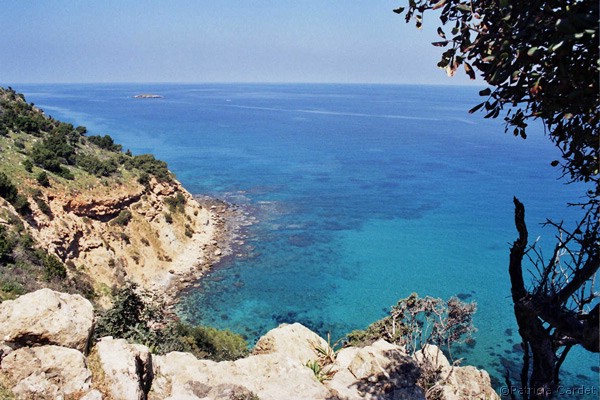 Akamas, Cyprus - �Photo : Patricia Cardet