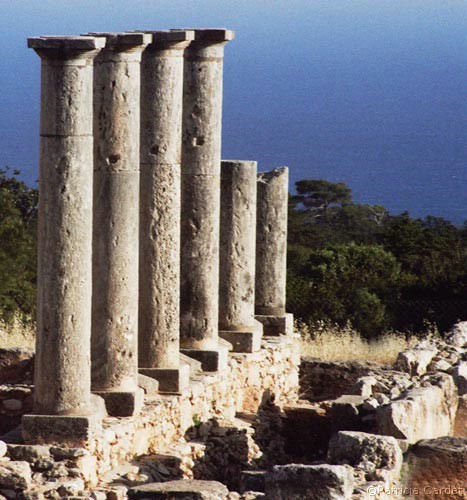 Cyprus, Kourion, Sanctuaire d'Apollon, 2005 - �Photo: Patricia Cardet