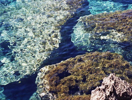 Cyprus, Akamas, 2005 - �Photo: Patricia Cardet